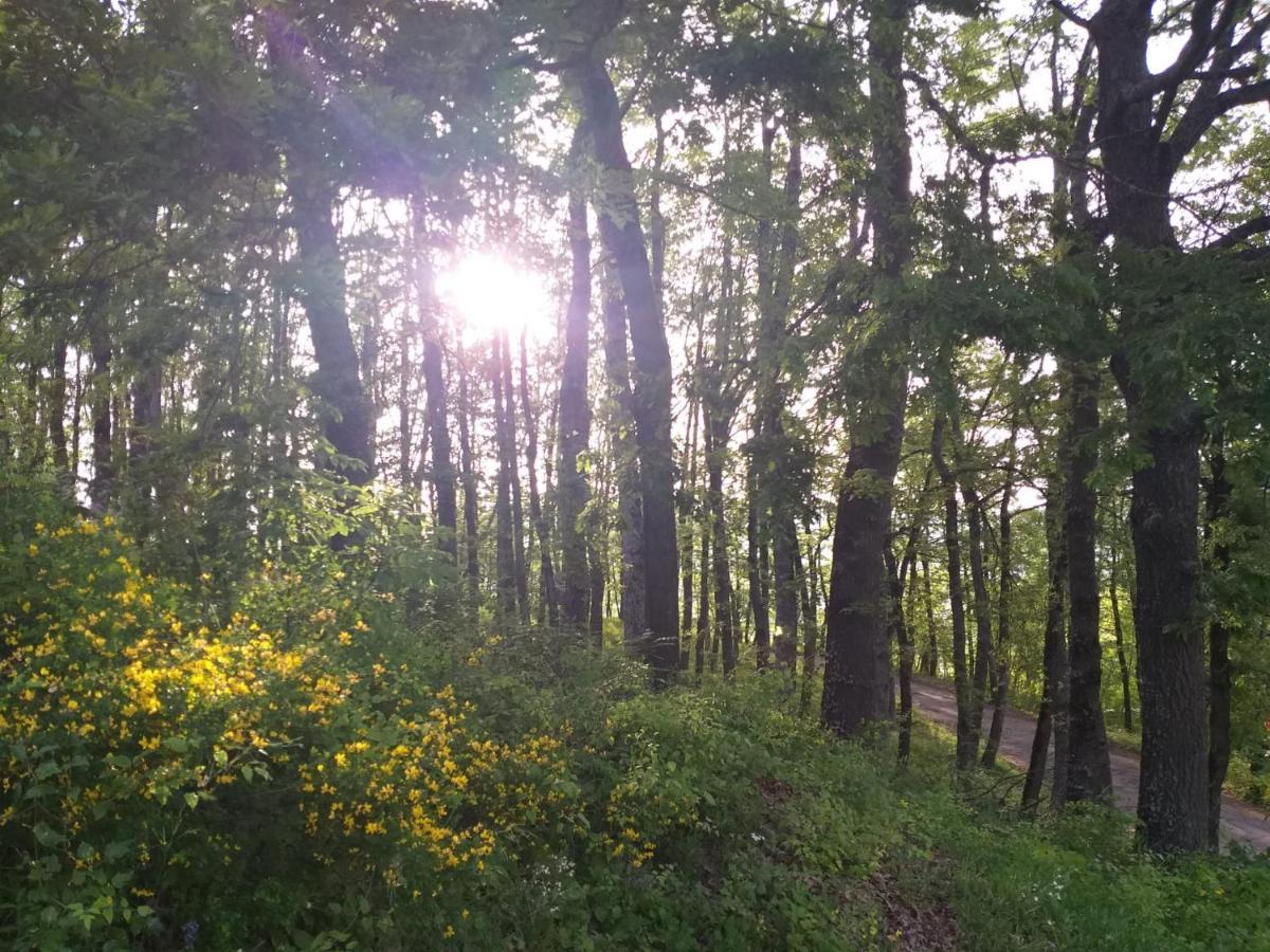 הוילה Lama Mocogno Uno Chalet Nel Bosco מראה חיצוני תמונה